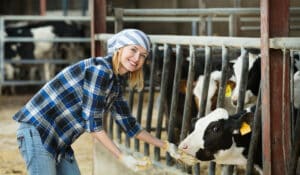 Pretty lady caring for cows on a farm - agricultural spray foam insulation is paramount to livestock health - Sooner Foam Insulation.